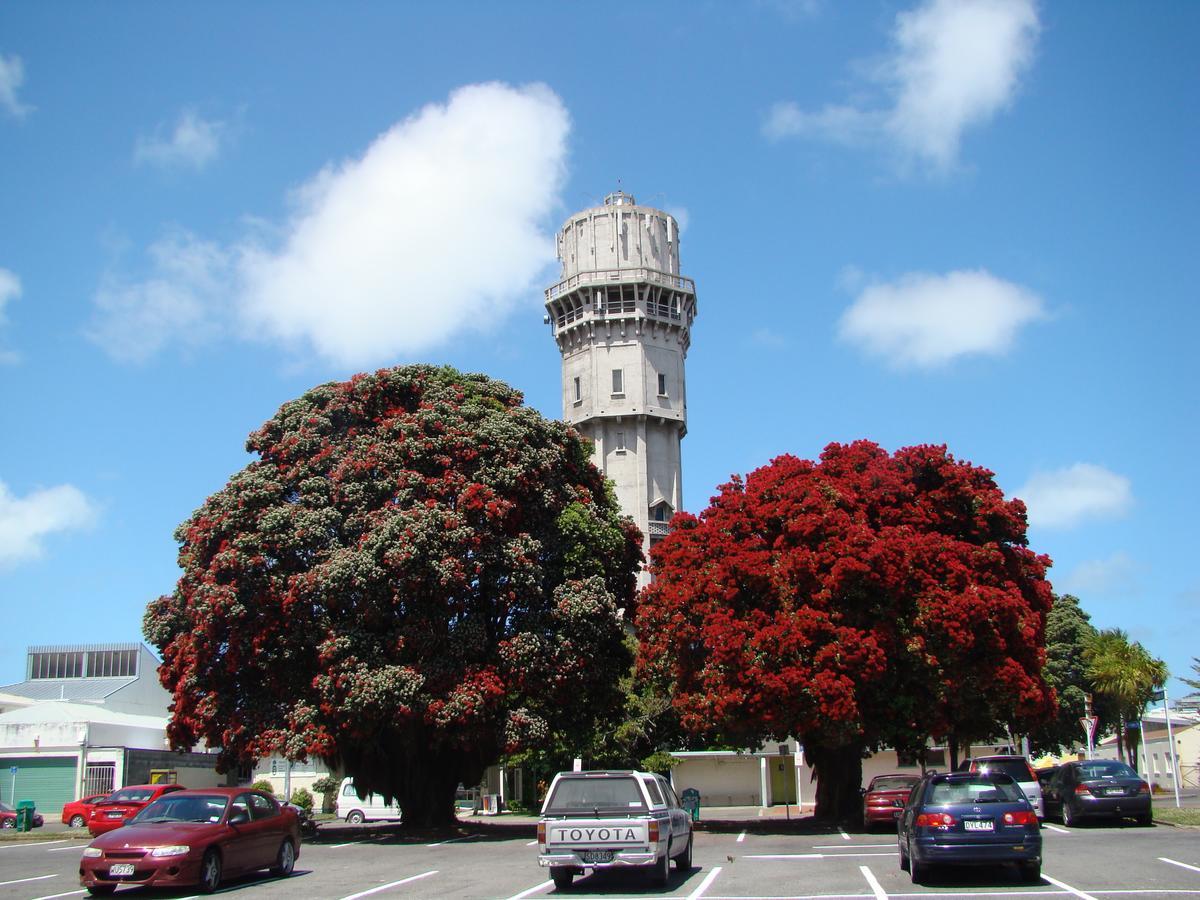 Kiwi Court Motel Hawera Dış mekan fotoğraf